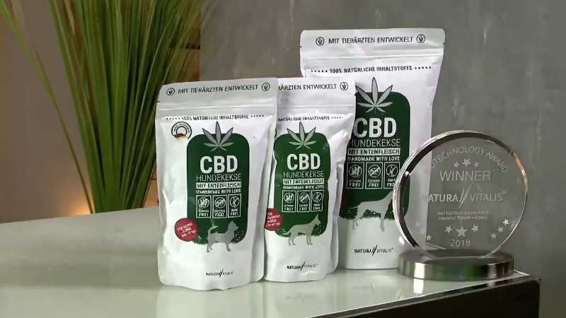 CBD-Leckerlis für Hunde gegen Stress und Angst: Vorteile, Rechtslage und Nebenwirkungen