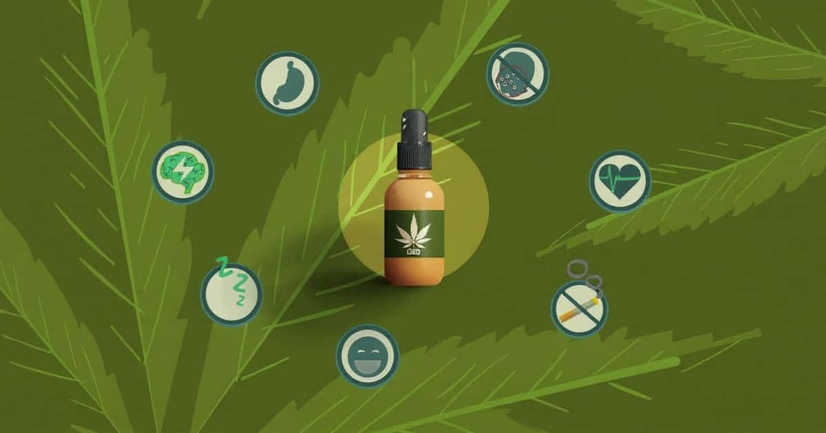 CBD-Öl-Marktprognose: Rasantes Wachstum dank steigender Nachfrage